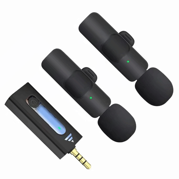 Two Microphone with Jack Input K35