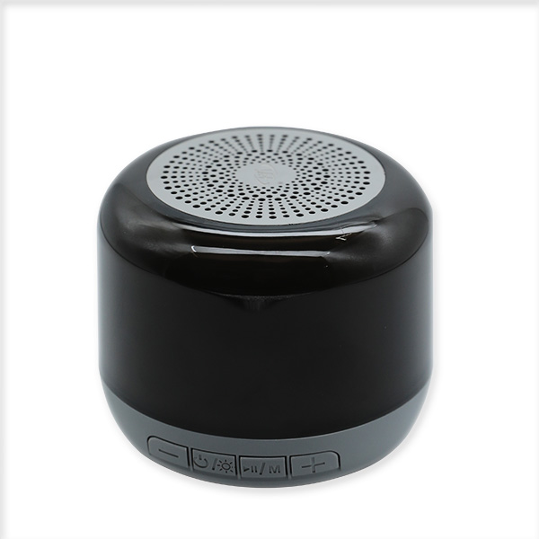 Speaker Mini L-001