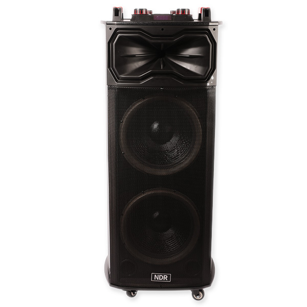 Speaker NDR-1218 12" *2