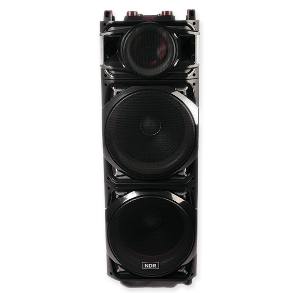 Speaker NDR-1526 15" *2