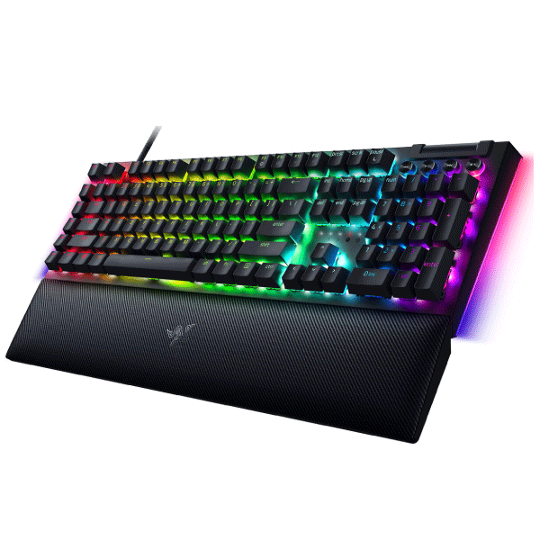 Razer BlackWidow V4X , Mechanical Gaming , (Green Switch)