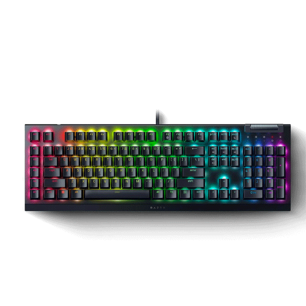 Razer BlackWidow V4X , Mechanical Gaming , (Green Switch)