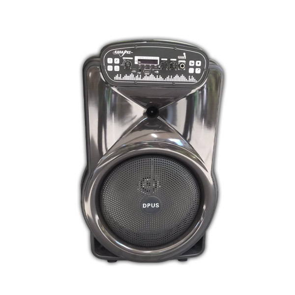 Speaker SZ-1208 12"