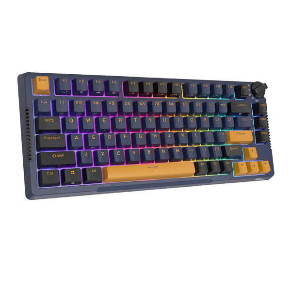 ROYAL KLUDGE 91KEYS SKY CYAN SWITCH STAR NIGHT ( 3C ) W-W-B KEYBOARD