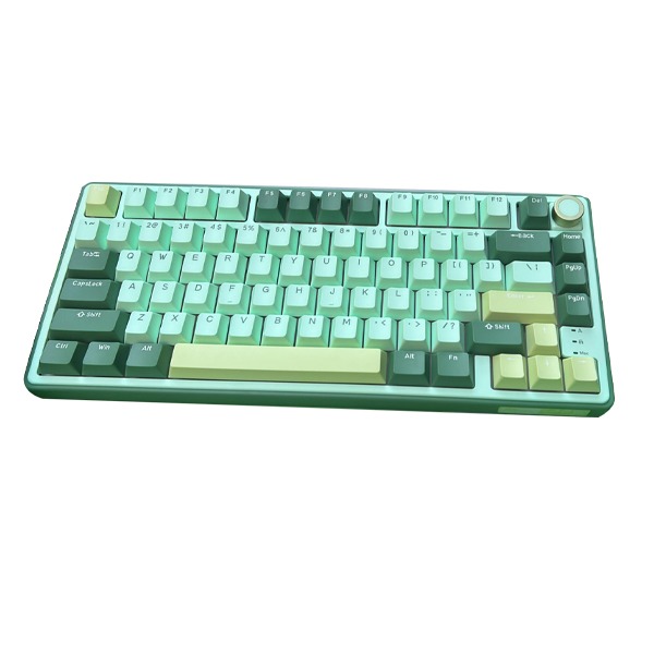 Royal Kludge R75Pro Single-mode Mechanical Keyboard EverGreen Version Snow Emperor Switch