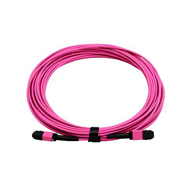 24 cores MM MPO Trunk Patch Cord