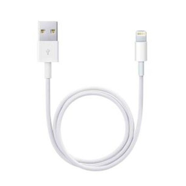 Apple Lightning to USB Cable 1M