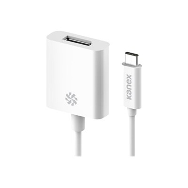 Kanex USB-C to DisplayPort Adapter with 4K Support (21 cm)-White (Thunderbolt 3 compatible)