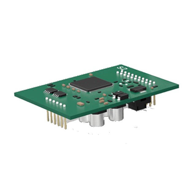 Yeastar S2 Module (2 FXS)