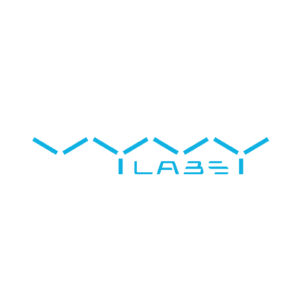 VYVYLABS